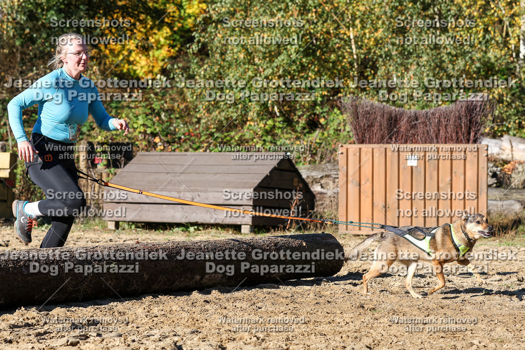 Dog Paparazzi - Strongdog 10-25-1997 | Dog Paparazzi Jeanette Grottendiek Fotografie & Videografie - Realisiert mit Pictrs.com