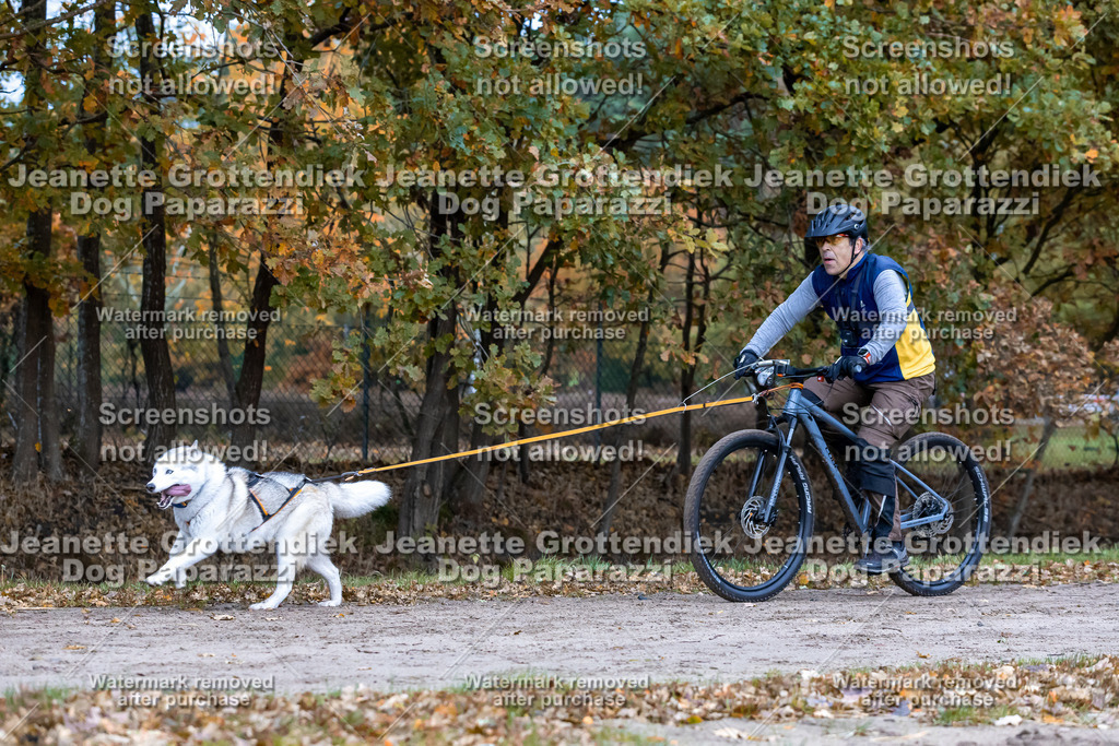 Dog Paparazzi - SD CaniX Championship 2025-225 | Dog Paparazzi Jeanette Grottendiek Fotografie & Videografie - Realisiert mit Pictrs.com