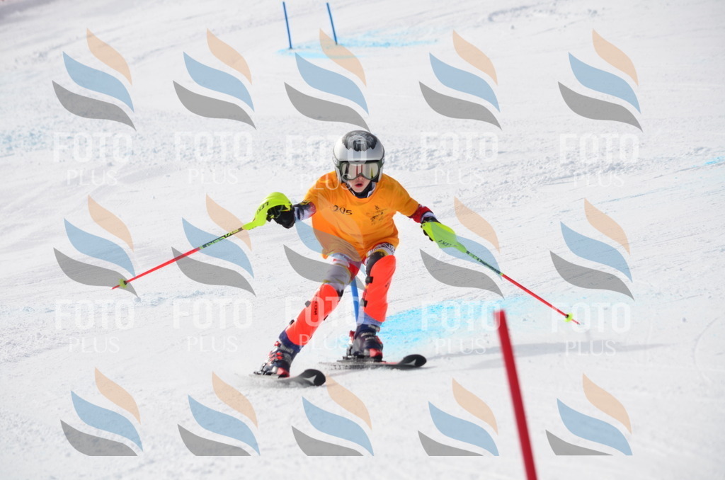 C8143 | holidayphoto