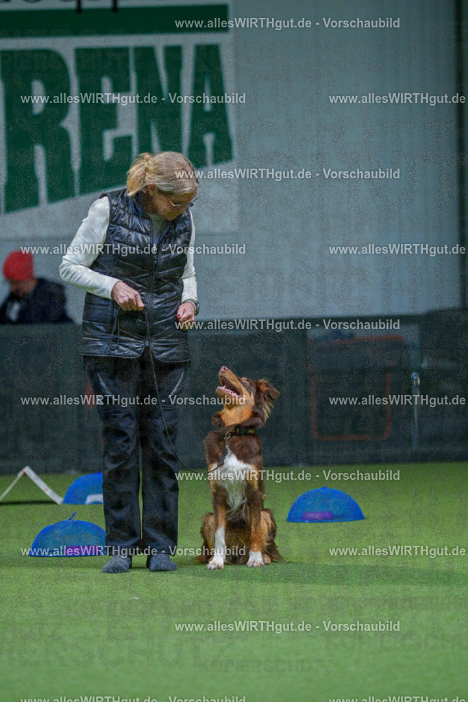 7R501325 | Professionelle Tierfotografie in Mönchengladbach von Daniel Wirth (allesWIRTHgut). Liebevolle & natürliche Bilder von Hunden & Katzen für unvergessliche Erinnerungen.