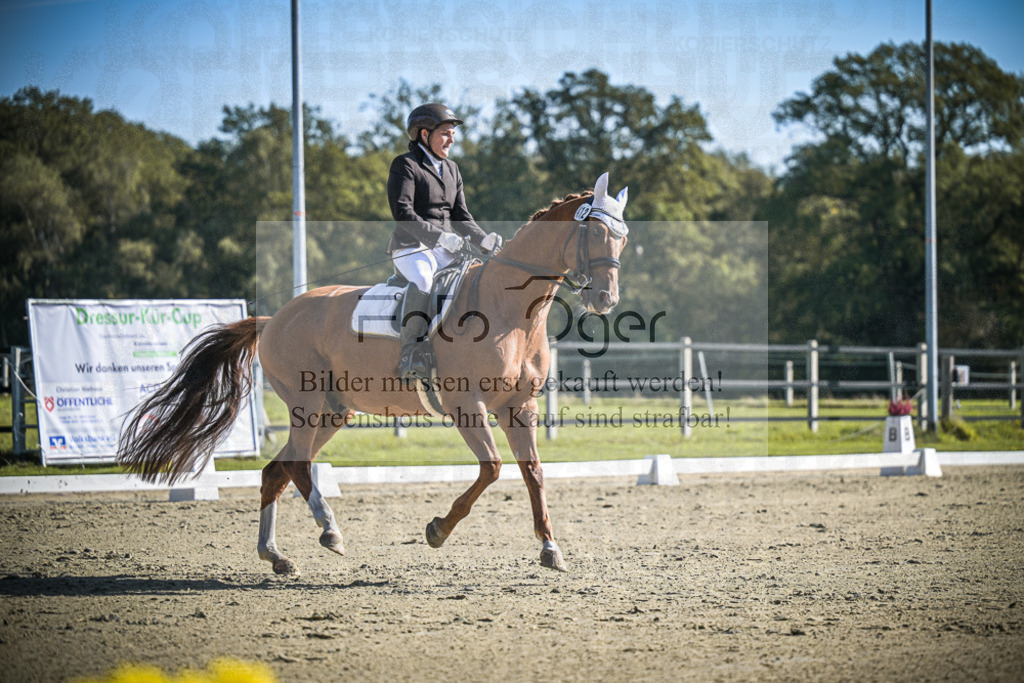 DOS_1736 | Entdecke hochwertige Reitturnierfotos von Foto Oger. Professionell, emotional und authentisch – jetzt Lieblingsmomente im Shop bestellen.Deutschlandweite Turnierfotografie. - Realisiert mit Pictrs.com
