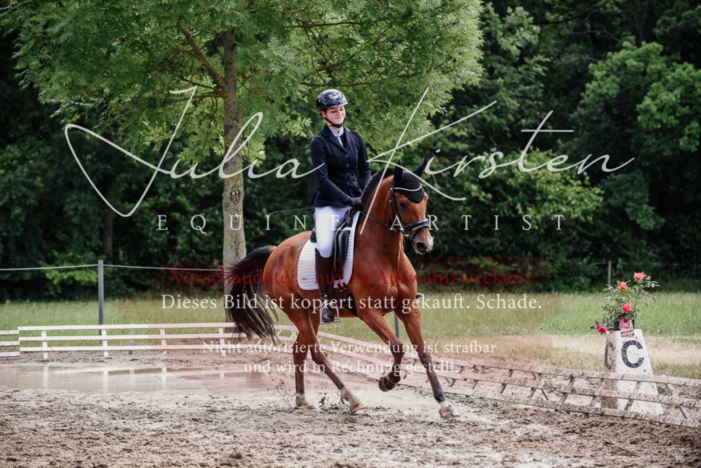 DSC_1789 | Pferde- und Turnierfotografie in Westsachsen. Pferdeportraits, Auftragszeichnungen und intuitive Kunst.