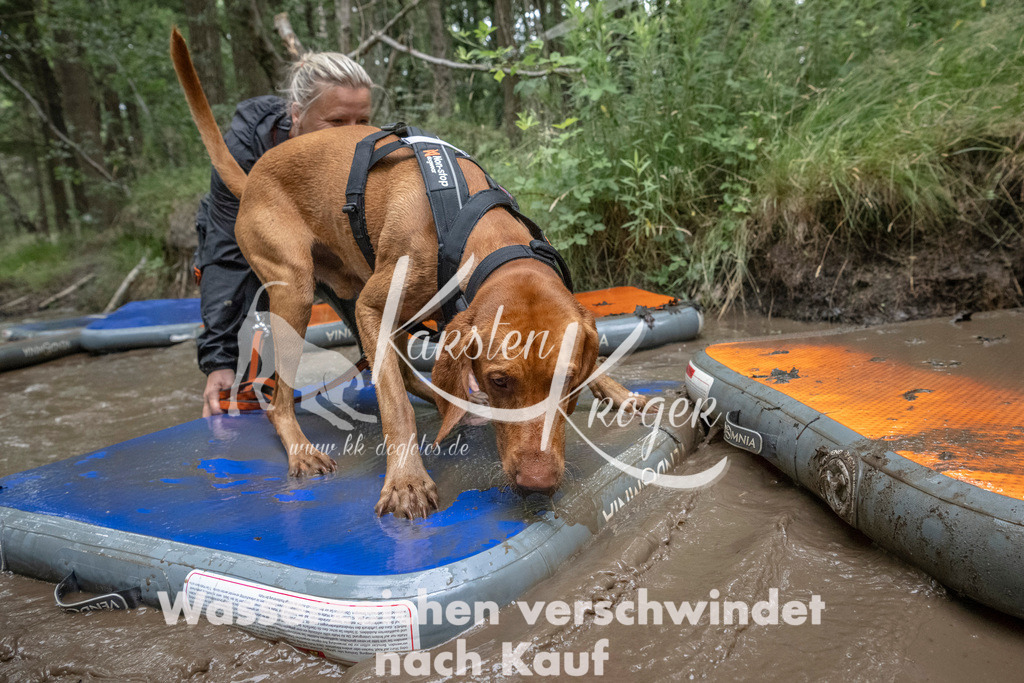 0928_ZZ92502 | kk-dogfotos