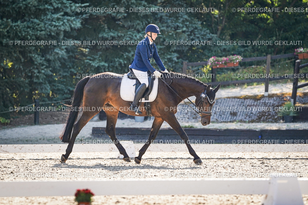 DSC09255 | Pferdegrafie