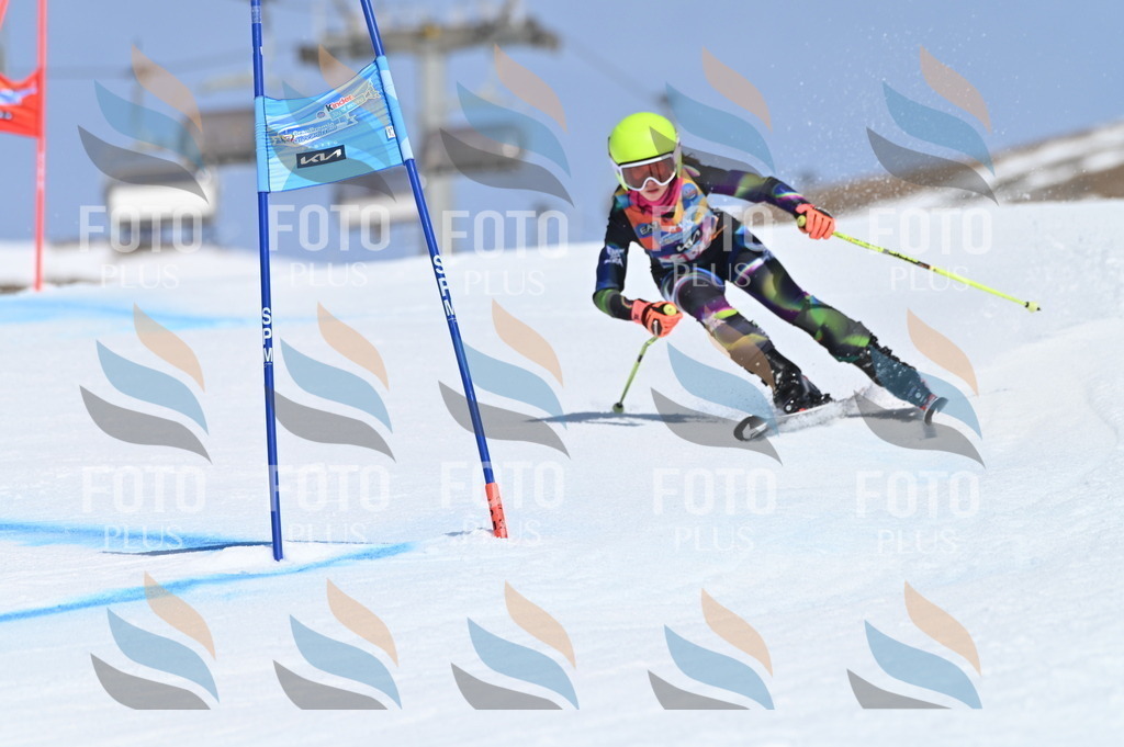 BGV_9841 | holidayphoto