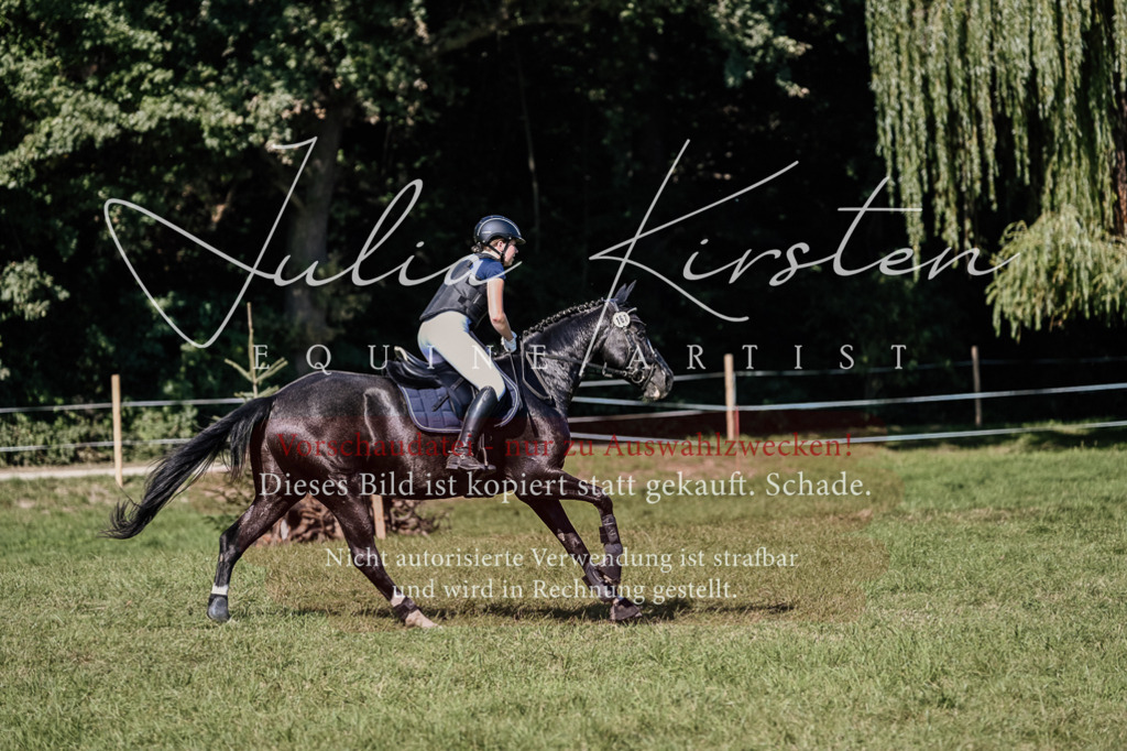 DSC_3561 | Pferde- und Turnierfotografie in Westsachsen. Pferdeportraits, Auftragszeichnungen und intuitive Kunst.