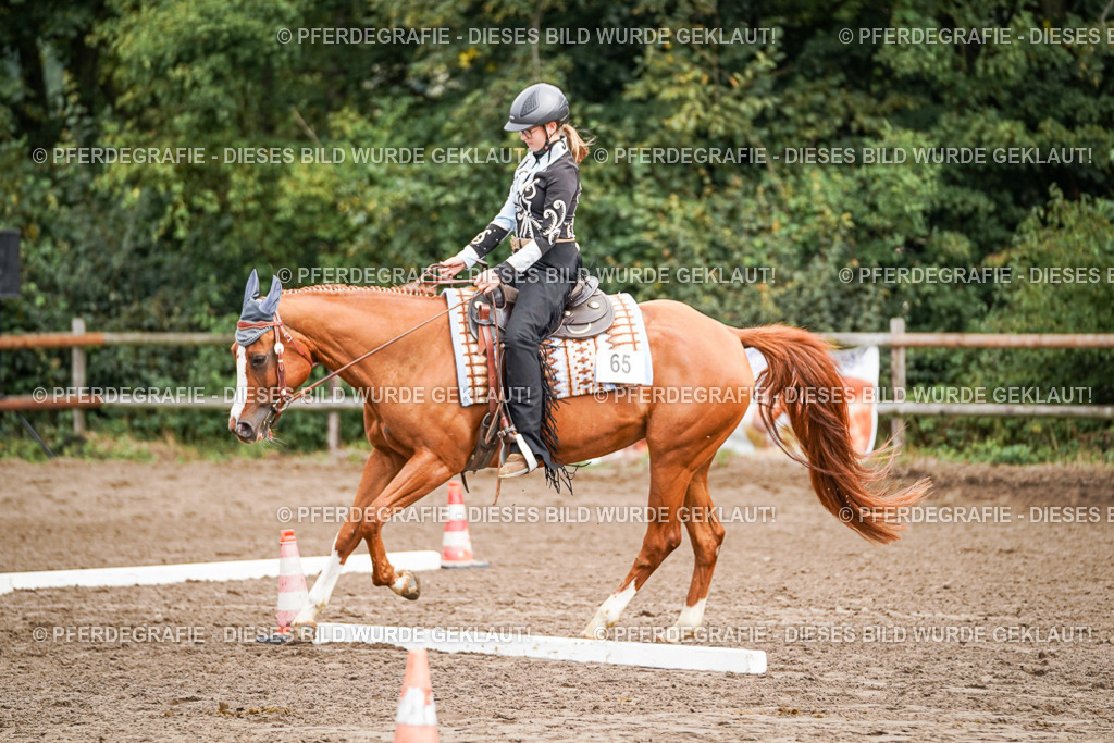 DSC04202 | Pferdegrafie