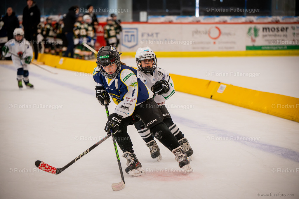 DSC_1635 | "Fussifoto.com – Ihr Ansprechpartner für hochwertige Fotografie! Entdecken Sie kreative Bilder und professionelle Dienstleistungen. Kontaktieren Sie uns für Ihre Projekte!"