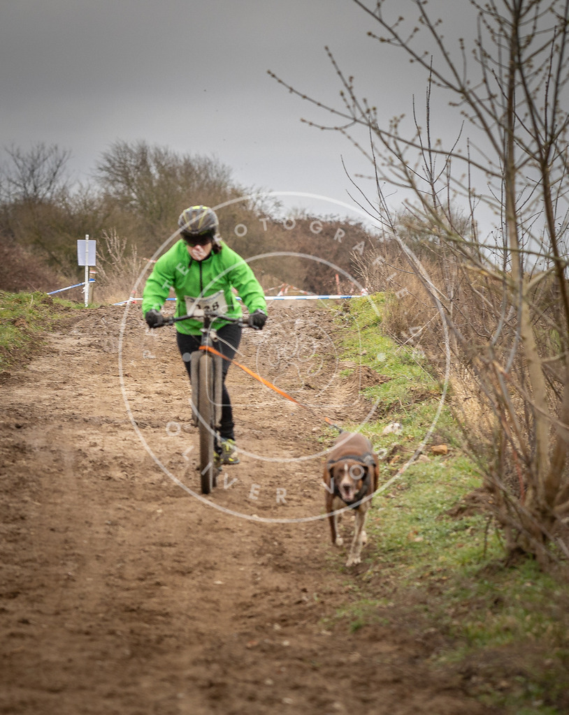 DV3A1484 | Hundefotografie, Tierfotograf, Pfotenfotografie, Fotoshooting Hund, Hunde Portrait, Hundesport, Hundeportraits, Heideshooting, Hunde, Sportfotograf, Hundefotograf, Turnierhundsport, THS,  - Realisiert mit Pictrs.com