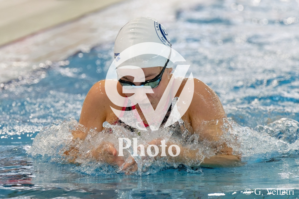 DSC_3779 | Velletri Photo