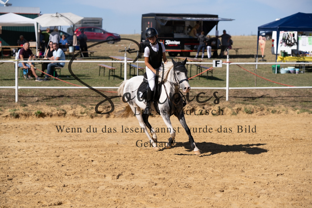 A7V02481 | Pferdefotograf