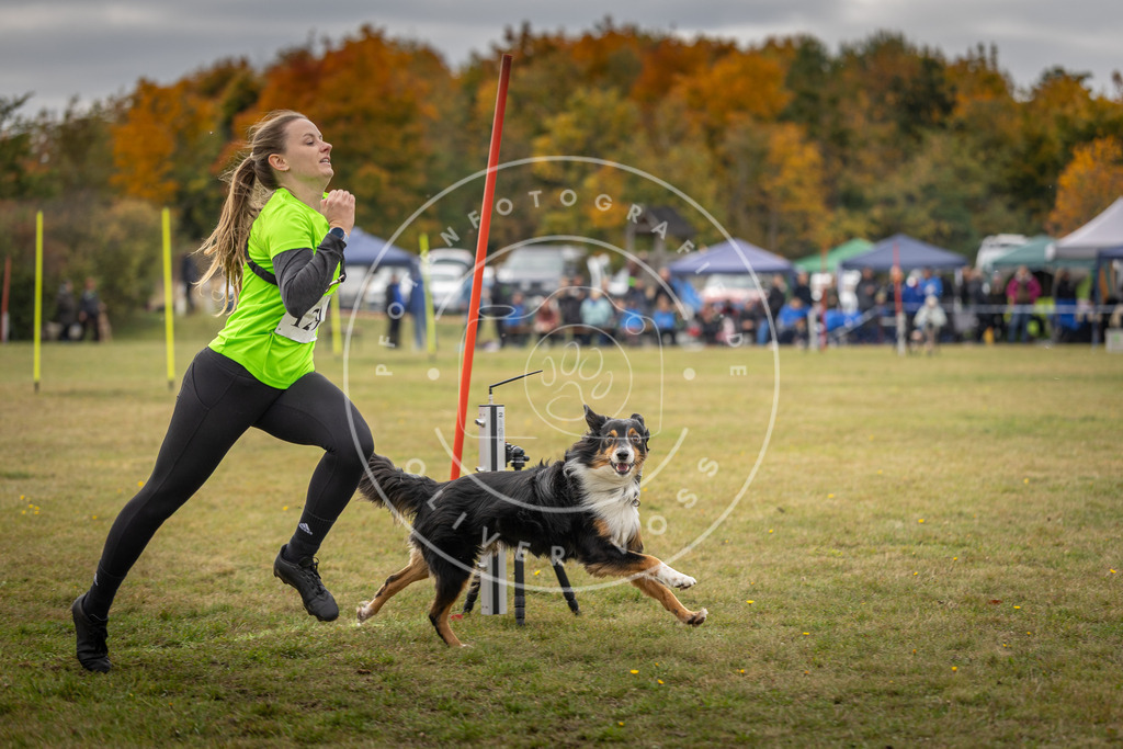 Pfotenfotografie_DV3A6873 | Hundefotografie, Tierfotograf, Pfotenfotografie, Fotoshooting Hund, Hunde Portrait, Hundesport, Hundeportraits, Heideshooting, Hunde, Sportfotograf, Hundefotograf, Turnierhundsport, THS,  - Realisiert mit Pictrs.com