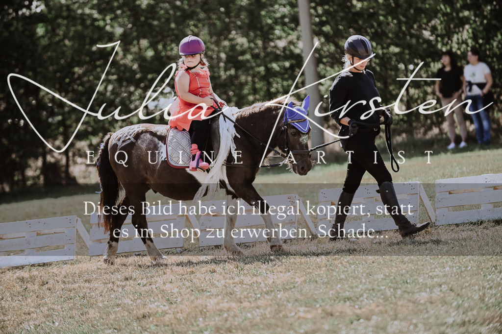 DSC_9093 | Pferde- und Turnierfotografie in Westsachsen. Pferdeportraits, Auftragszeichnungen und intuitive Kunst.