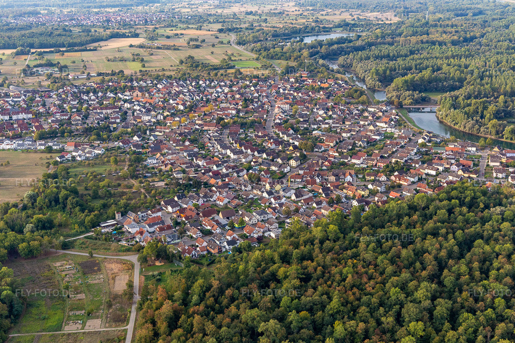 Luftbild: Uferbereich des Altrhein - Flußverlaufes in Plittersdorf im Ortsteil Plittersdorf in Rastatt im Bundesland Baden-Württemberg in Deutschland. Foto: IMG_008751.jpg vom 20.09.2020 durch Werner Riehm/FLY-FOTO.de