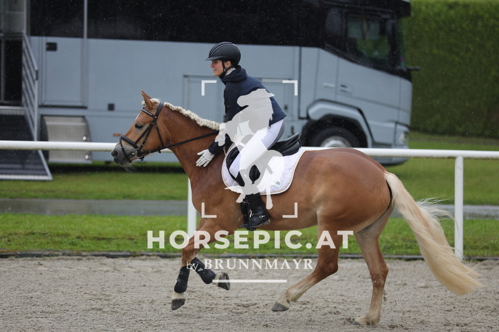 0P6A7645 | Willkommen bei Brunnmayr - Design & Fotografie – Ihrem Spezialisten für Reitturniere und Pferdeveranstaltungen in Oberösterreich, Salzburg und Bayern! Seit über 17 Jahren sind wir leidenschaftlich dabei.