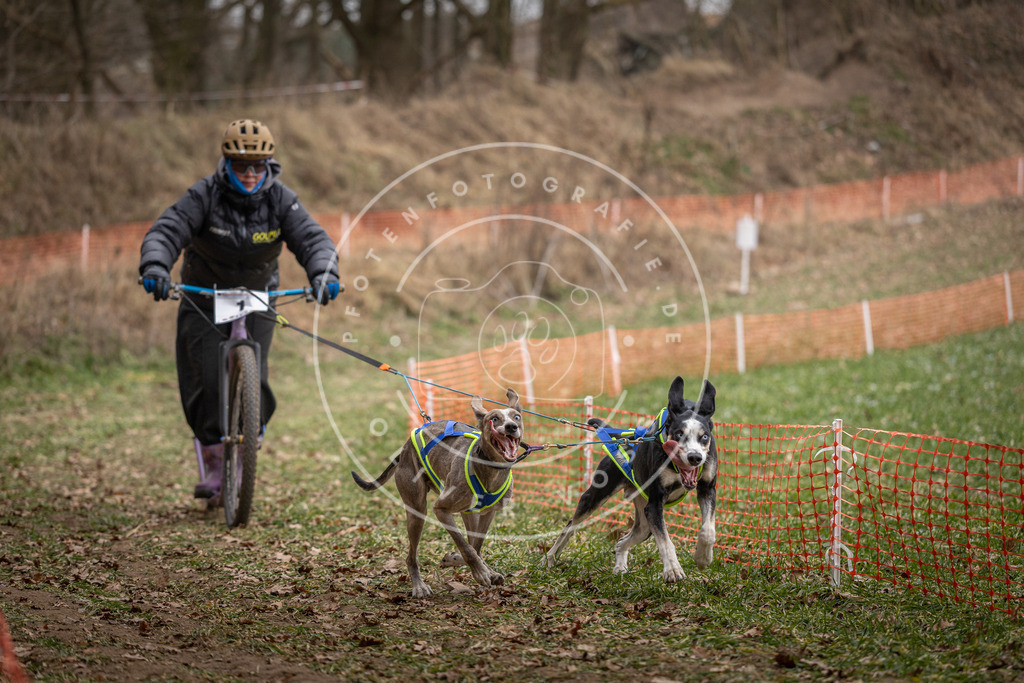 Pfotenfotografie_DV3A6645 | Hundefotografie, Tierfotograf, Pfotenfotografie, Fotoshooting Hund, Hunde Portrait, Hundesport, Hundeportraits, Heideshooting, Hunde, Sportfotograf, Hundefotograf, Turnierhundsport, THS,  - Realisiert mit Pictrs.com