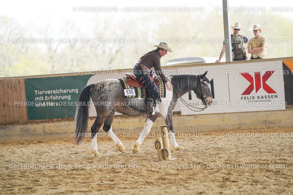 DSC02152 | Pferdegrafie