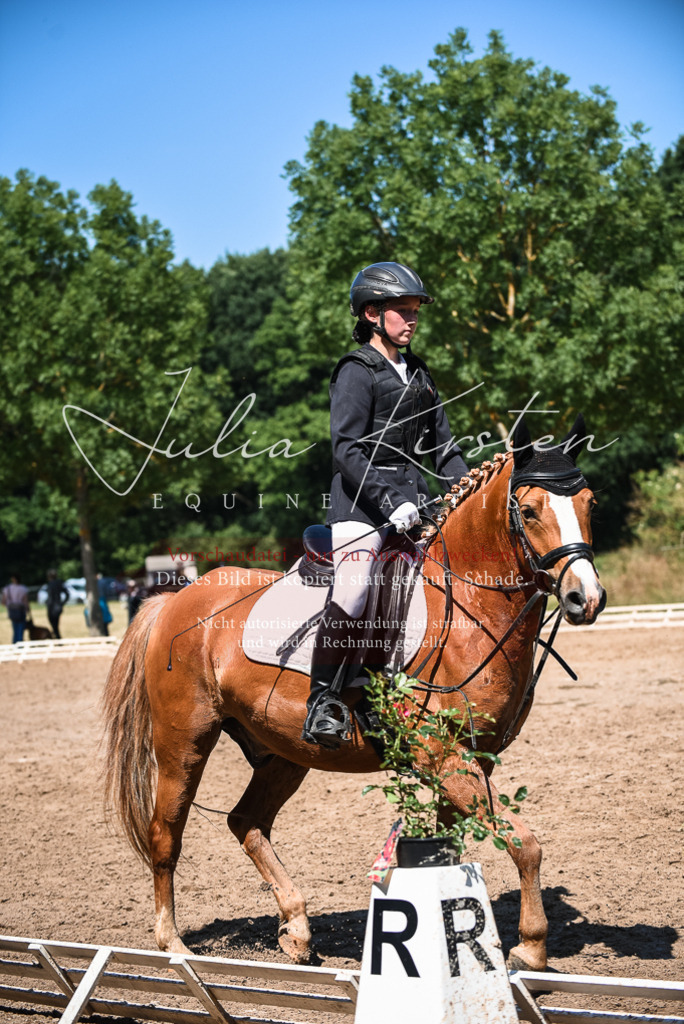 DSC_3281 | Pferde- und Turnierfotografie in Westsachsen. Pferdeportraits, Auftragszeichnungen und intuitive Kunst.