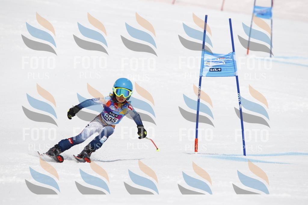 _U3G5987 | holidayphoto