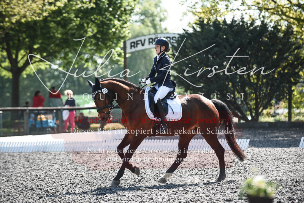 DSC_8905 | Pferde- und Turnierfotografie in Westsachsen. Pferdeportraits, Auftragszeichnungen und intuitive Kunst.