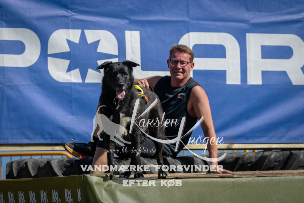 1120_ZZ91331 | kk-dogfotos
