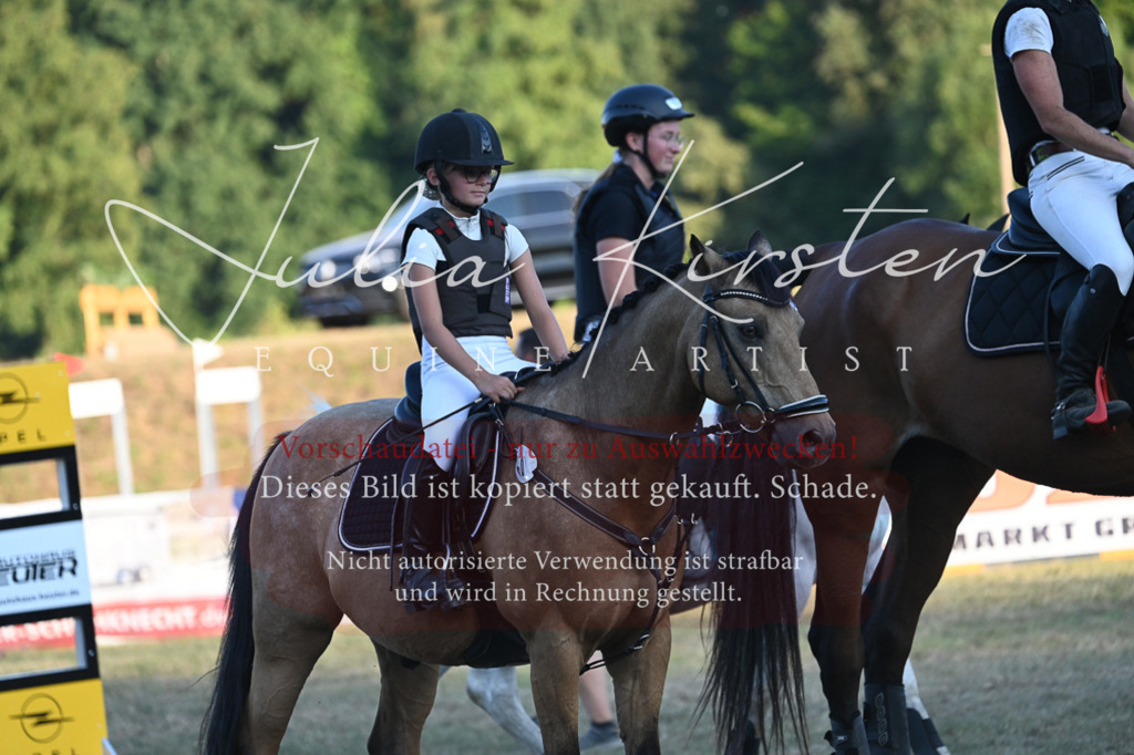 DSC_9274 | Pferde- und Turnierfotografie in Westsachsen. Pferdeportraits, Auftragszeichnungen und intuitive Kunst.