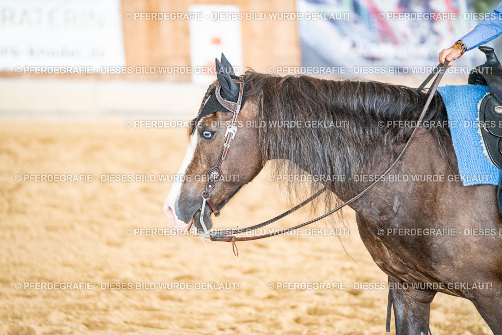 DSC09710 | Pferdegrafie