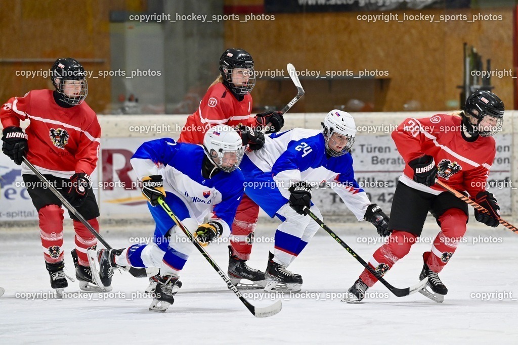 BST_3504 | hockey sports photos, Pressefotos, Sportfotos, hockey247, win 2day icehockeyleague, Handball Austria, Floorball Austria, ÖVV, Kärntner Eishockeyverband, KEHV, KFV, Kärntner Fussballverband, Österreichischer Volleyballverband, Alps Hockey League, ÖFB, 