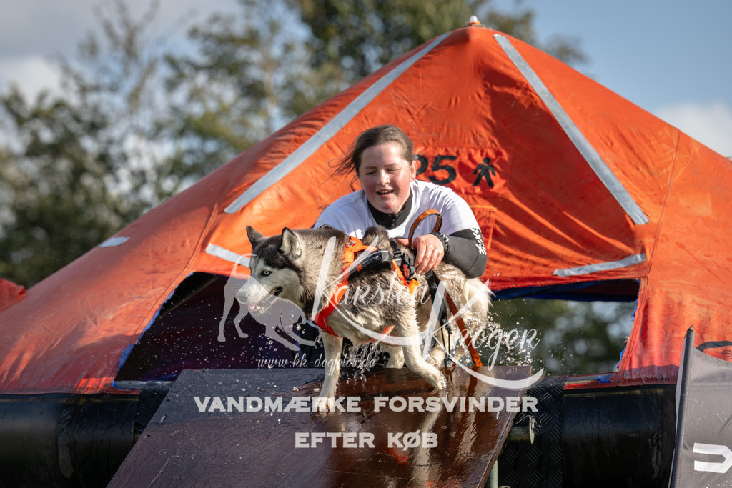 1408-93744 | kk-dogfotos