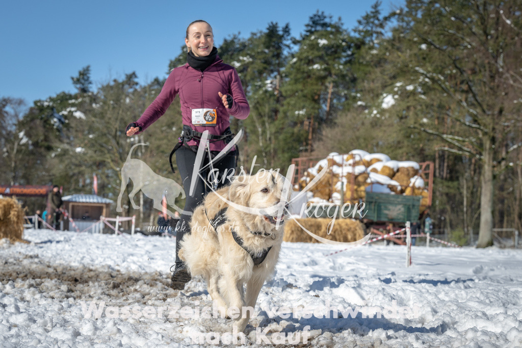 1133_ZZ90209-4 | kk-dogfotos