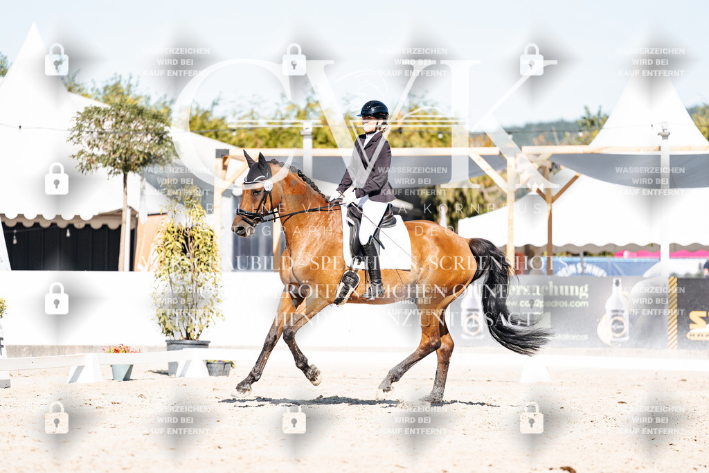 CK908130 | Turnierfotografie Pferdefotografie Trier Rheinland-Pfalz Pferdesport Reitsport Tierfotografie Sportfotografie Pferdevideo Pferdevideografie Equestrianvideography equestrianphotography  - Realisiert mit Pictrs.com