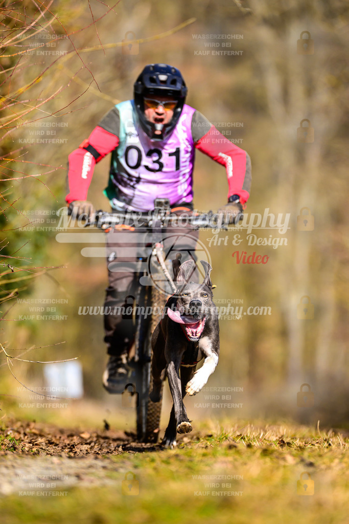 MompixPhotography_Schwabentrail2025_SO_Bike-25 | PayLife