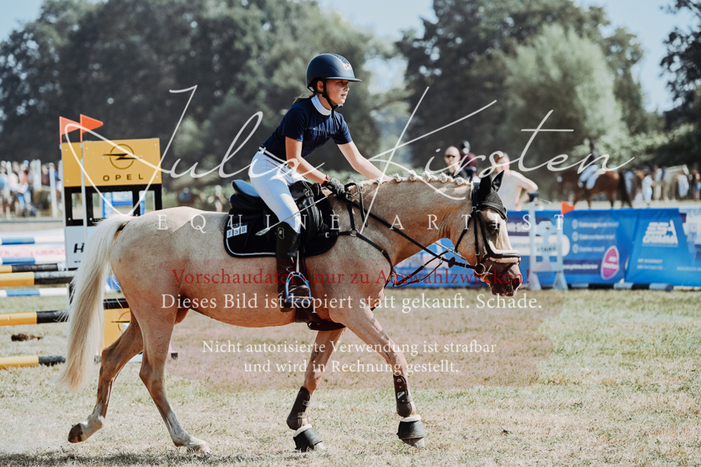 DSC_9347 | Pferde- und Turnierfotografie in Westsachsen. Pferdeportraits, Auftragszeichnungen und intuitive Kunst.