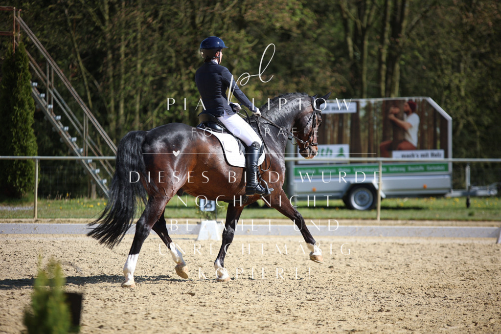 IMGT8481 | pl-fotografie