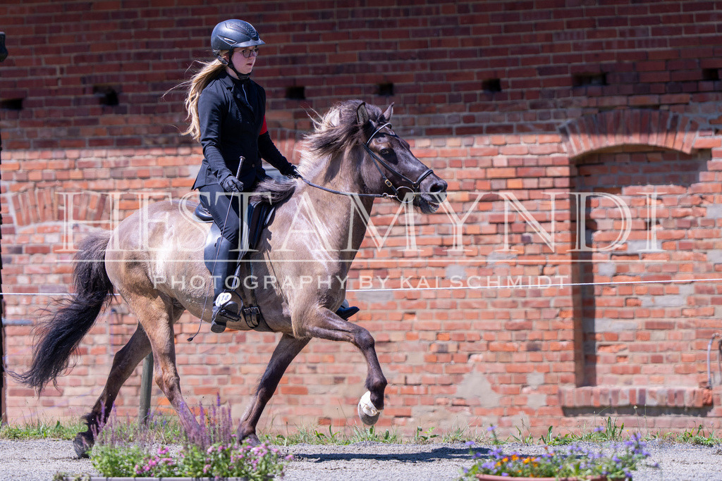 KAI08588 | Ihr sucht einen Fotografen für eure nächste OSI? Ich begleite auch euer Turnier für Islandpferde fotografisch.  - Realisiert mit Pictrs.com