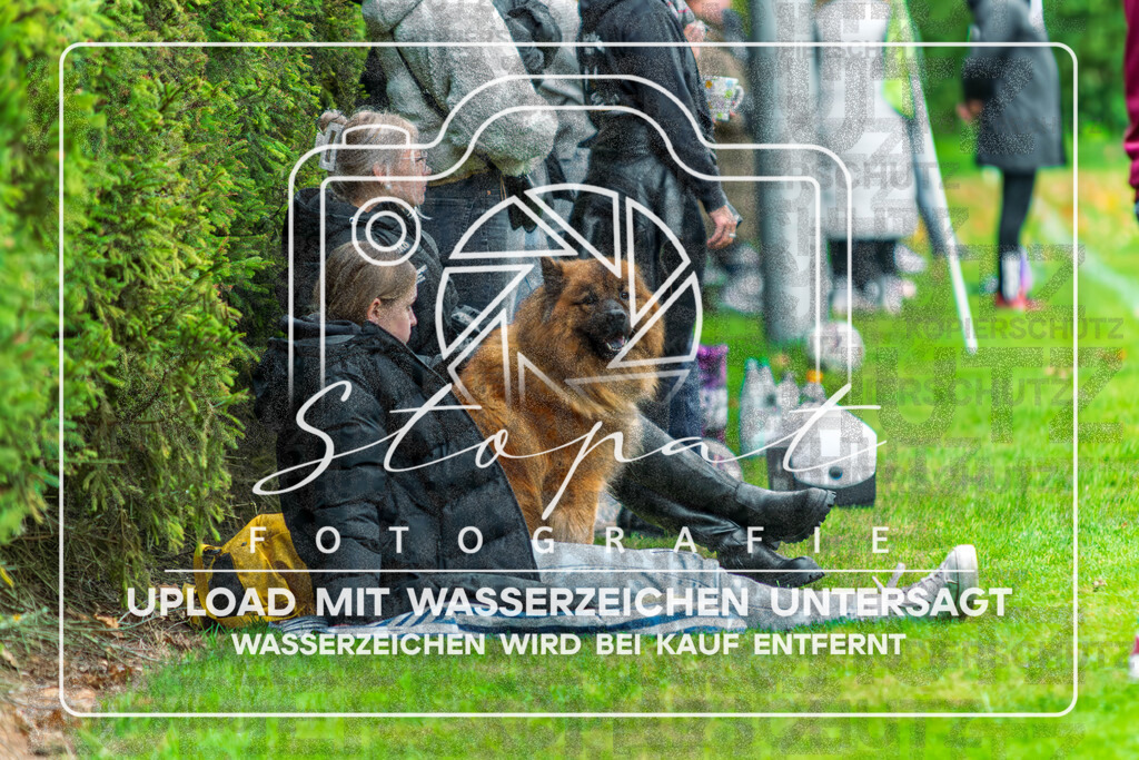 SGNSGF-1005 | Zuschauer beim Damen Kreisliga HK/CE Spiel zwischen SG Nordheide und SG Fulde im Sportplatz Vethem, Vethem (Simon Paul Stopat) - Realisiert mit Pictrs.com