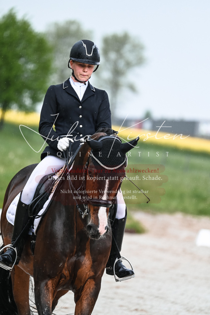 DSC_4160 | Pferde- und Turnierfotografie in Westsachsen. Pferdeportraits, Auftragszeichnungen und intuitive Kunst.