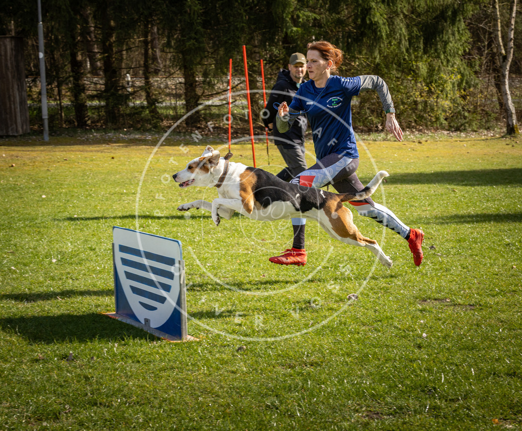 Pfotenfotografie_DV3A1993 | Hundefotografie, Tierfotograf, Pfotenfotografie, Fotoshooting Hund, Hunde Portrait, Hundesport, Hundeportraits, Heideshooting, Hunde, Sportfotograf, Hundefotograf, Turnierhundsport, THS,  - Realisiert mit Pictrs.com