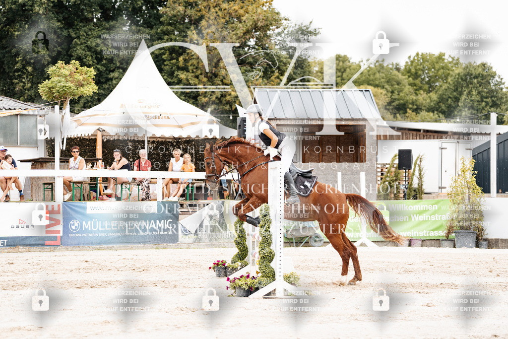 CK908173 | Turnierfotografie Pferdefotografie Trier Rheinland-Pfalz Pferdesport Reitsport Tierfotografie Sportfotografie Pferdevideo Pferdevideografie Equestrianvideography equestrianphotography  - Realisiert mit Pictrs.com
