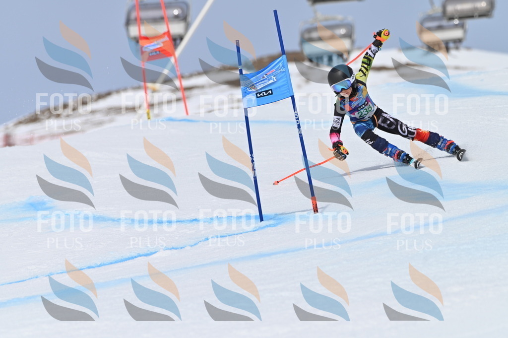 BGV_4704 | holidayphoto