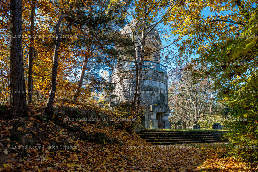 10049-4648 - Landschaftspark Spiegelsberge | Stockfoto und Bilderpool mit Bildmaterial aus Deutschland, dem Harz, Halberstadt, Quedlinburg, Wernigerode und weltweit. Qualitativ hochwertige und professionelle Fotos anschauen und kaufen. - Realisiert mit Pictrs.com