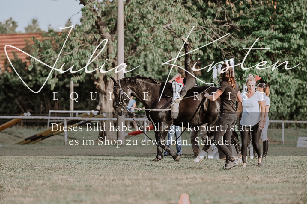 DSC_9850 | Pferde- und Turnierfotografie in Westsachsen. Pferdeportraits, Auftragszeichnungen und intuitive Kunst.