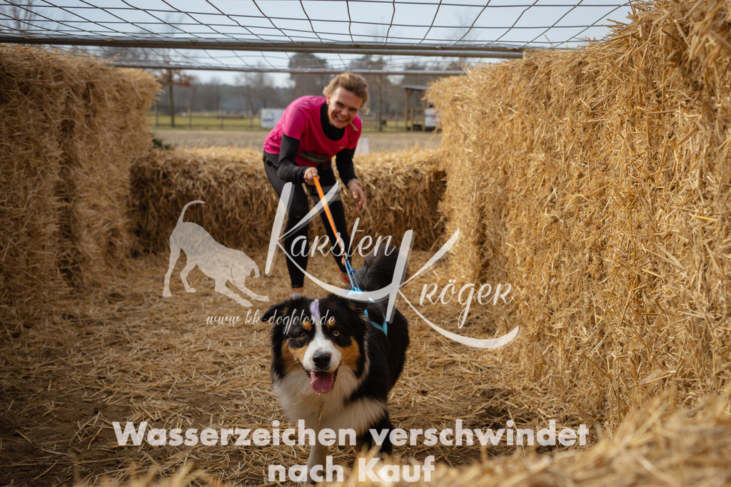 1103_ZZ91882 | kk-dogfotos