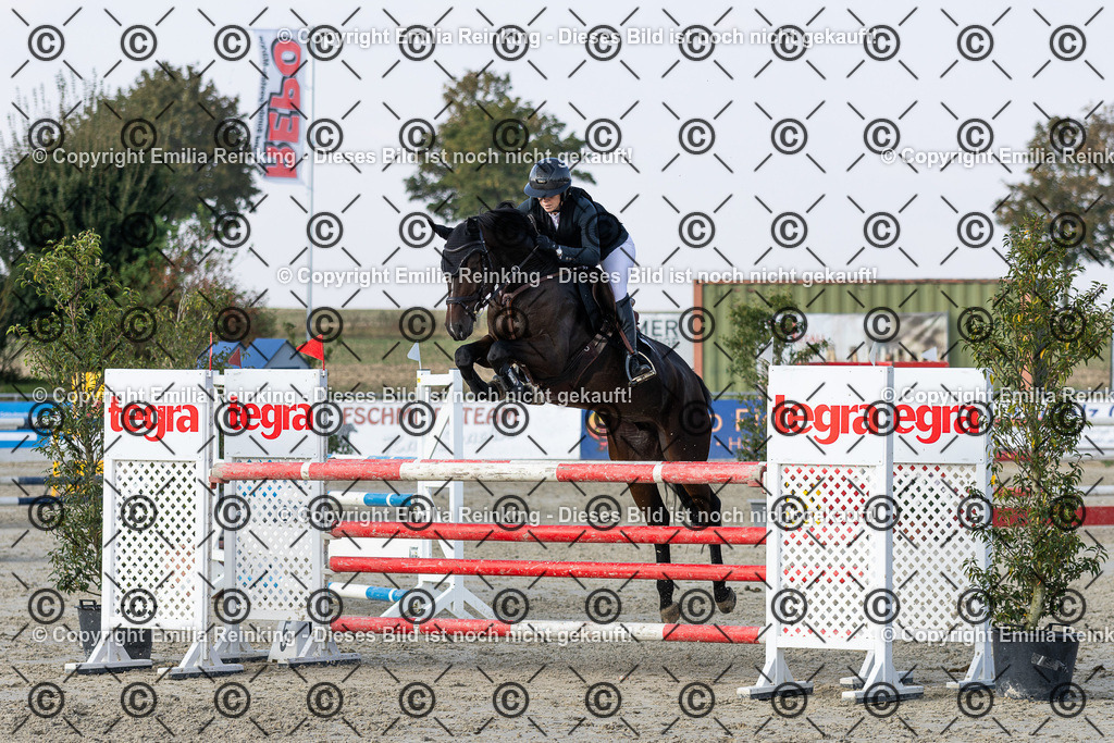 CL5A5241 | Emilia Reinking Fotografie - Realisiert mit Pictrs.com