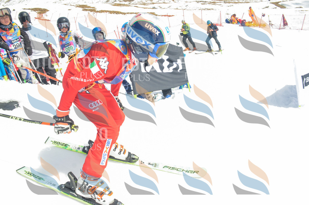 _ELE6641 | holidayphoto