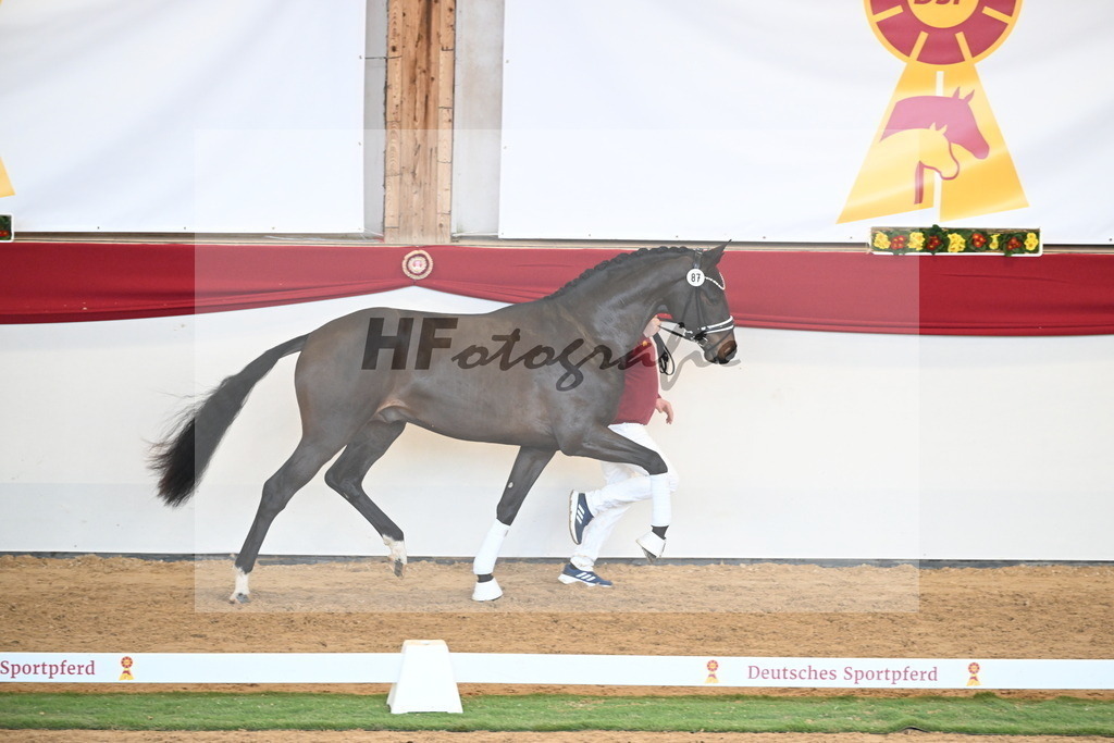 Kat.-Nr. 87 v. Vitalis_Berger _ Beckmann_2250946 | hf-fotografie - Realisiert mit Pictrs.com