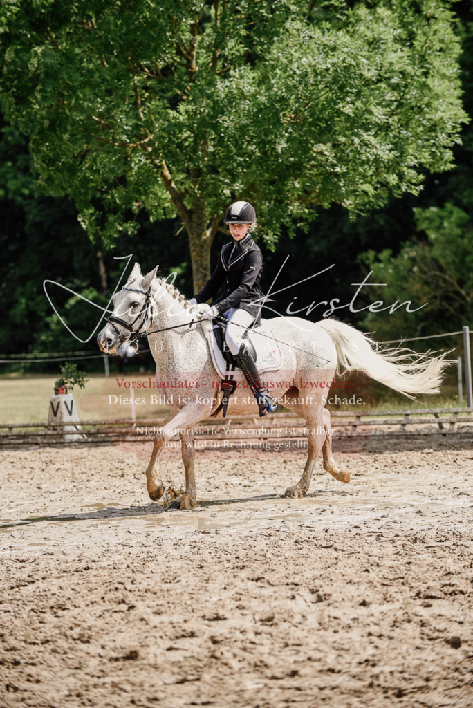 DSC_0540 | Pferde- und Turnierfotografie in Westsachsen. Pferdeportraits, Auftragszeichnungen und intuitive Kunst.