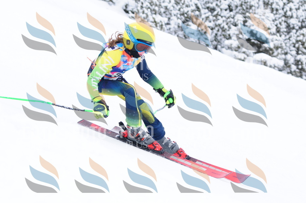 C3856 | holidayphoto