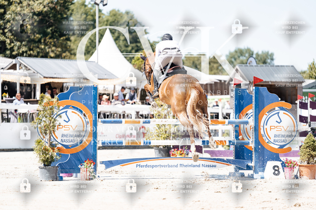 CK909526 | Turnierfotografie Pferdefotografie Trier Rheinland-Pfalz Pferdesport Reitsport Tierfotografie Sportfotografie Pferdevideo Pferdevideografie Equestrianvideography equestrianphotography  - Realisiert mit Pictrs.com