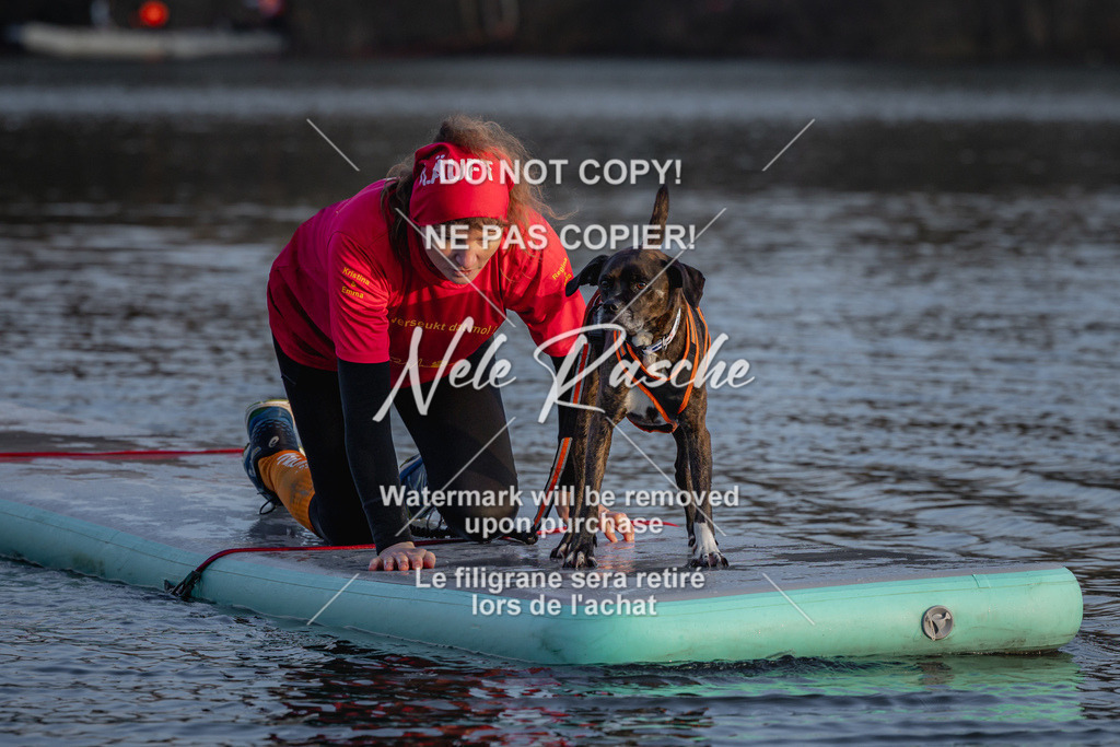 nelerasche_Hulsbeek_Sa1730-Ende_285 | nelerasche